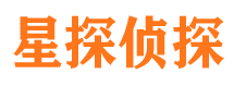 莘县市侦探公司